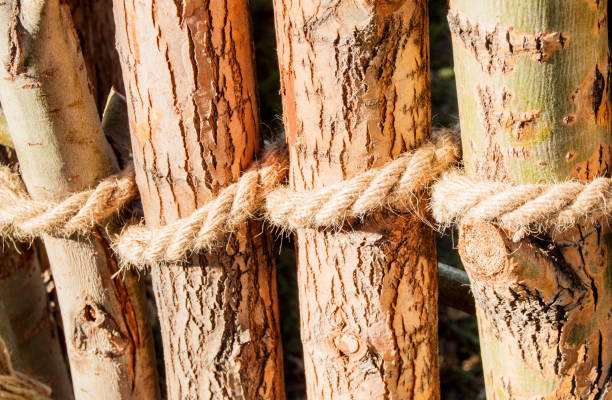 la cuerda está anudada alrededor de postes de madera, postes de cercas. la textura natural de cerca de la corteza del árbol - wooden post wood grass string fotografías e imágenes de stock