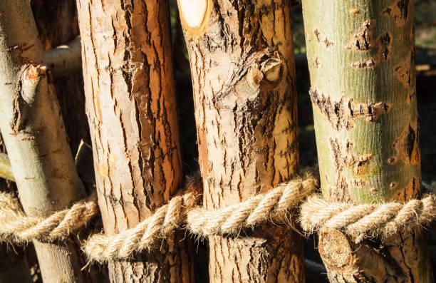 la cuerda está anudada alrededor de postes de madera, postes de cercas. la textura natural de cerca de la corteza del árbol - wooden post wood grass string fotografías e imágenes de stock