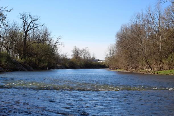 istock Flowing Water of Creek 1150254911