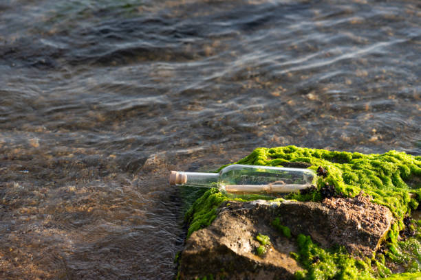 istock Message in a bottle on a stone covered with seaweed 1150255019