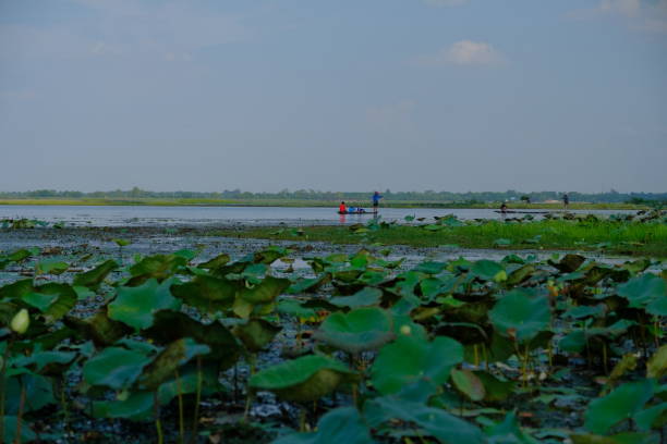 istock Lanscape and nature in the lake 1150256344