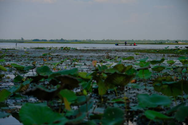 istock Lanscape and nature in the lake 1150256583