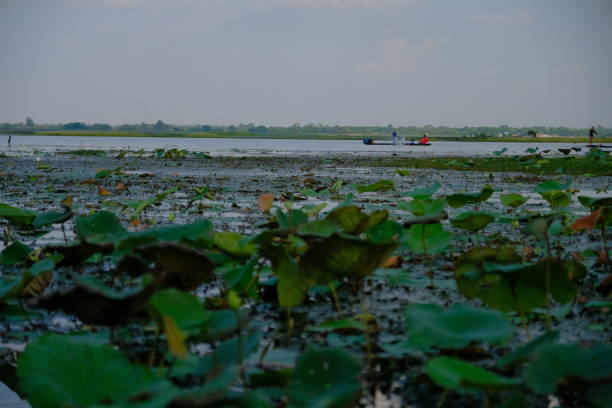 istock Lanscape and nature in the lake 1150257438
