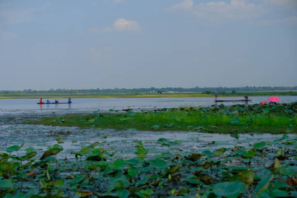 istock Lanscape and nature in the lake 1150258041