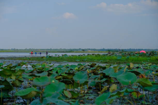 istock Lanscape and nature in the lake 1150258231