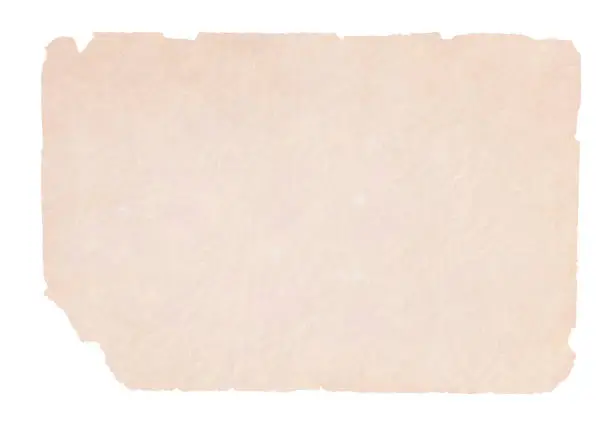 Vector illustration of A horizontal vector illustration of a plain blank beige colored very old ripped paper