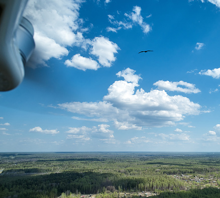 Aerial view of green landscape with Russian traditional smallholdings.  Predatory bird is flying in clear blu sky. Shooting at sunny spring day