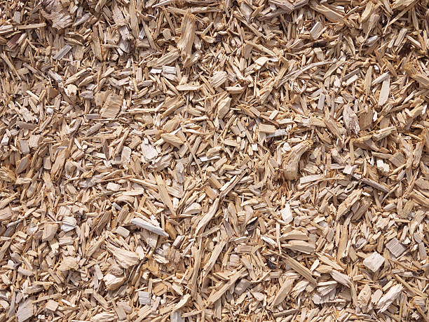istock Spruce splinters filling the whole picture 115026506