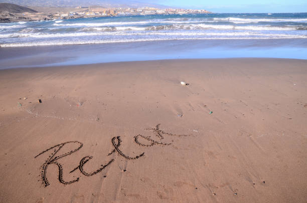 Palm Trees on Rocky Beach with Los Cristianos, Tenerife in background