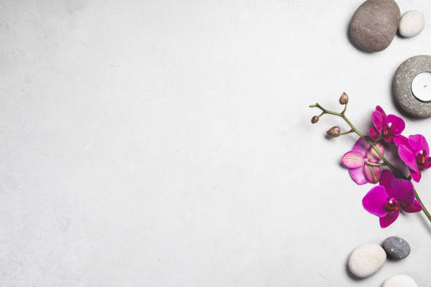 Beautiful pink Orchid Flowers on Spa Stones stock photo