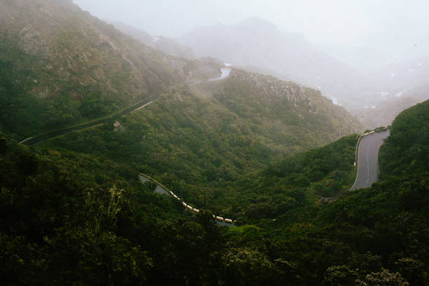 Winding mountain road surrounded by green forest