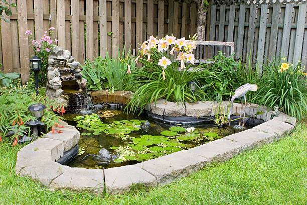 jardín estanque con peces - charca fotografías e imágenes de stock