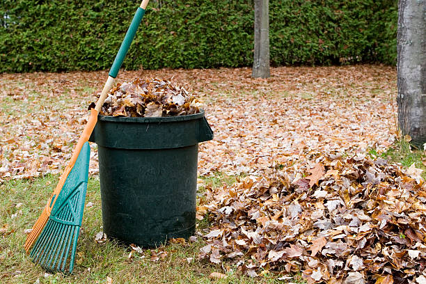 jesienią liście w kosz na śmieci - garden waste zdjęcia i obrazy z banku zdjęć