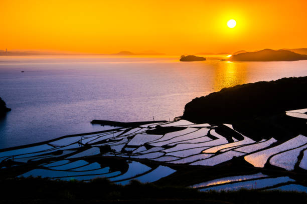 istock Doya Tanada, sunset on the rice field, kyushu, japan 1150273517