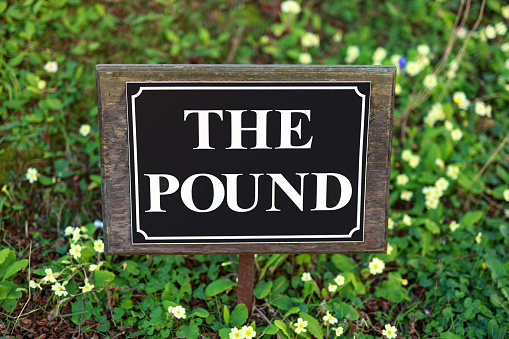 the pound street sign on flower background.