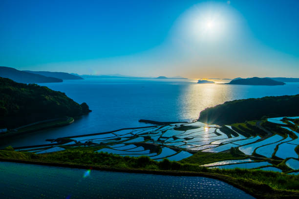 istock Doya Tanada, sunset on the rice field, kyushu, japan 1150275164