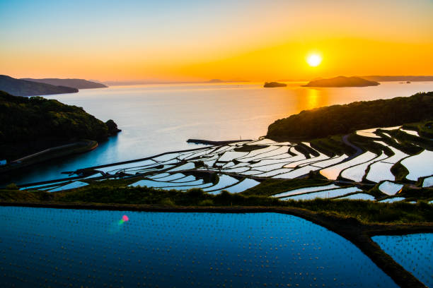istock Doya Tanada, sunset on the rice field, kyushu, japan 1150275285