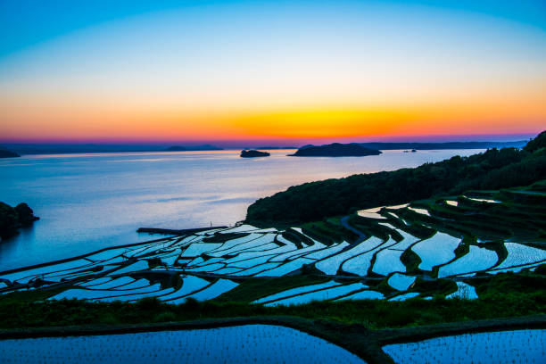 istock Doya Tanada, sunset on the rice field, kyushu, japan 1150275380