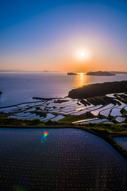 istock Doya Tanada, sunset on the rice field, kyushu, japan 1150276656
