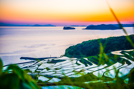 Doya Tanada, sunset on the rice field, kyushu, japan
