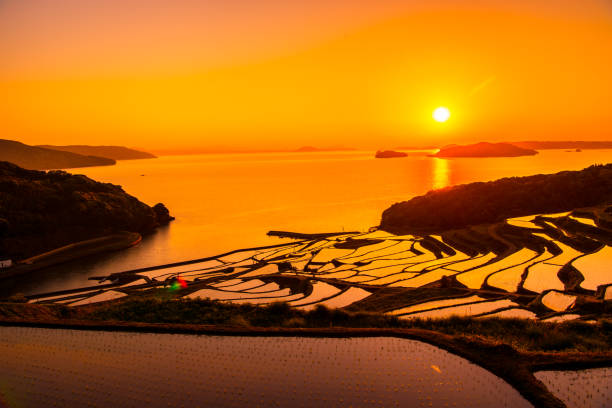 istock Doya Tanada, sunset on the rice field, kyushu, japan 1150276792