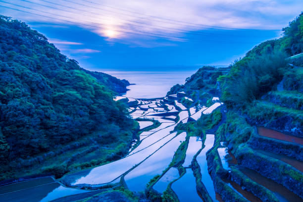 Hanamanoura Tanada, sunset on the rice field, kyushu, japan Hanamanoura Tanada, sunset on the rice field, kyushu, japan nagasaki prefecture photos stock pictures, royalty-free photos & images