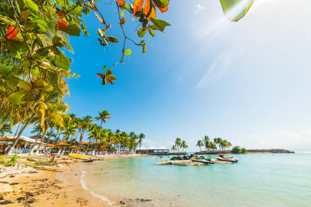 Colorful shore in Bas du Fort beach in Guadeloupe, French west indies. Lesser Antilles, Caribbean sea
