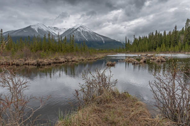 istock Storm Clouds over Vermilion Lakes 1150276941