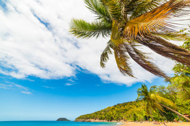 istock La Perle beach in Guadeloupe 1150277911