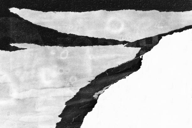 istock Blank white black old ripped torn paper crumpled creased posters grunge textures backdrop backgrounds placard 1150281012