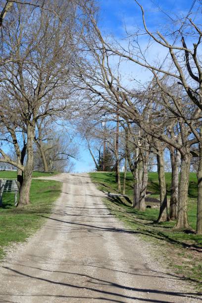 istock Long Empty Gravel Country Road 1150283634