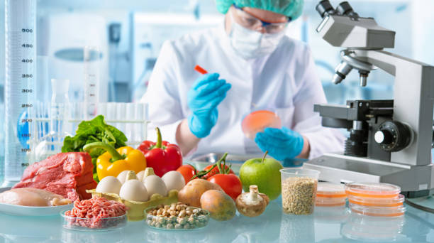 Food quality control concept Food quality control expert inspecting specimens of groceries in the laboratory basic food stock pictures, royalty-free photos & images