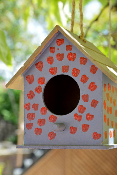 istock wooden birdhouse 1150290104