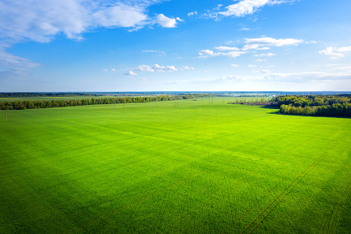 Green meadow and blue sky from above. Summer field on sunny day aerial view. Agriculture theme