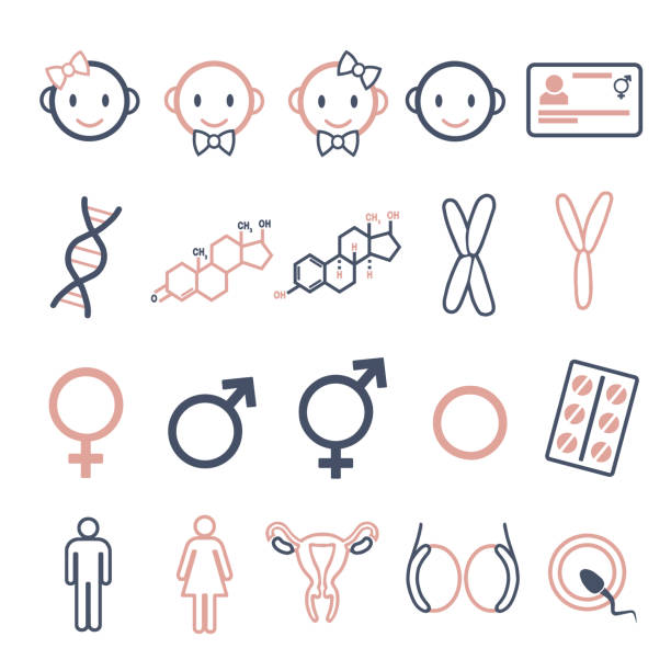 性別、トランスジェンダー、インターセックスに関連するインフォグラフィック作成用に設定されたベクトルアイコン (dna、ホルモンピル、オスおよびメスホルモンなど) - gender symbol human gender male sexual issues点のイラスト素材／クリップアート素材／��マンガ素材／アイコン素材