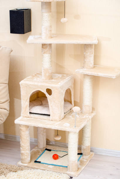 istock Cute funny cat tree in the living  room. 1150293800