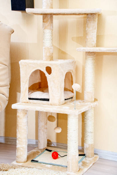 istock Cute funny cat tree in the living  room. 1150293867