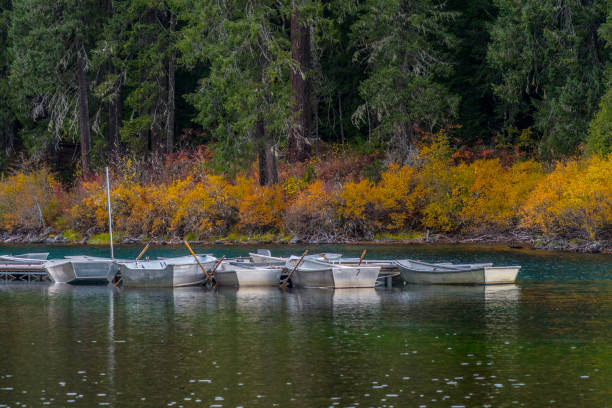 istock Docked Boats at Clear Lake 1150296776