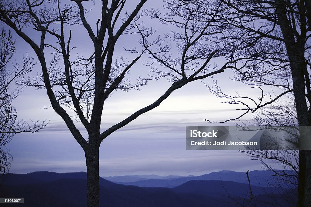 Trees in blue Tree silhouettes taken at the golden hour in the smoky mountains Appalachia Stock Photo