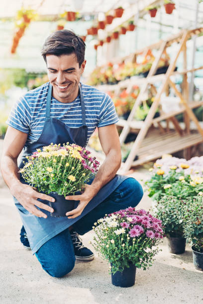 istock Gardener arranging flower pots 1150301098