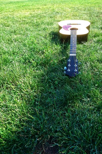 istock beautiful guitar on the grass 1150301228