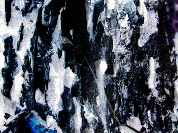 istock Abstraction. Old tree and moss for design and decoration. 1150302908