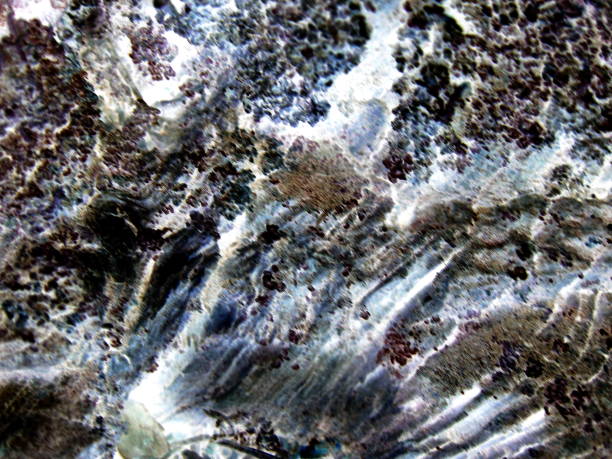 istock Abstraction. Old tree and moss for design and decoration. 1150303060