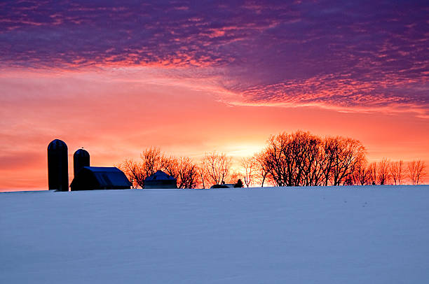 ferme coucher de soleil silhouette de la neige - vibrant color forest ice snow photos et images de collection