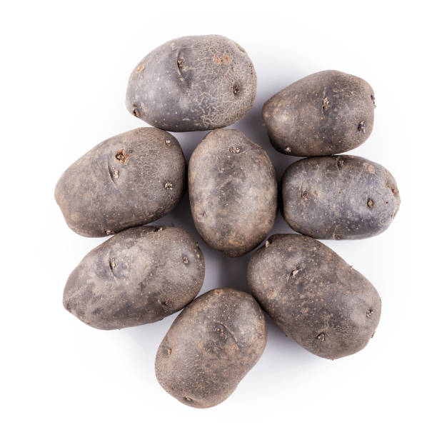 istock Many purple potatoes isolated on white background. 1150305257