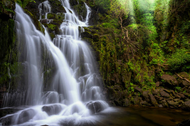 istock Torc Waterfall, Killarney National Park county Kerry, Ireland 1150306103