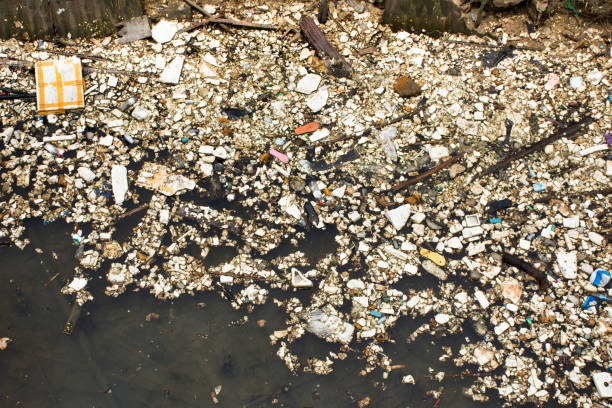 istock Many garbage and trash on surface of water 1150306308