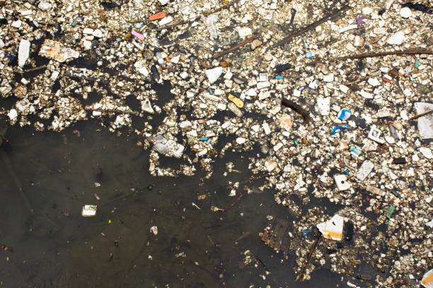 Many garbage and trash on surface of water stock photo
