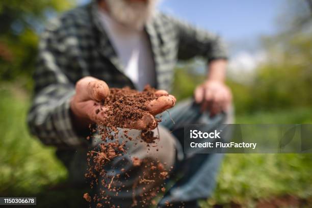 Senior Farmer Examining Earth On His Farm Stock Photo - Download Image Now - Dirt, Farmer, Agriculture
