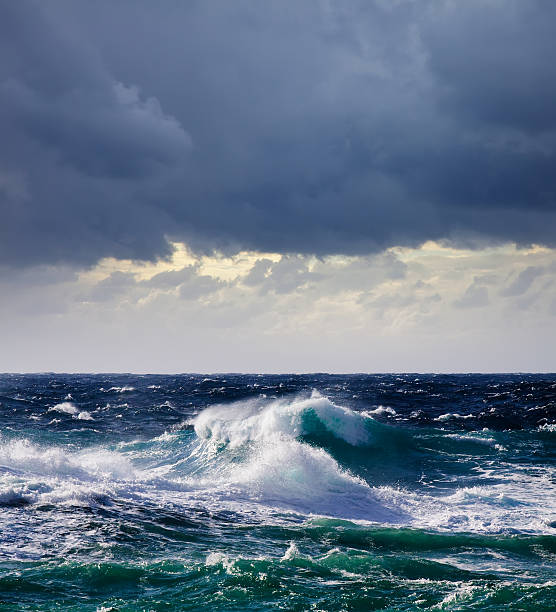 istock A high, sea wave rising to crash upon the shore 115030684